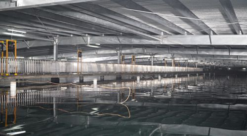 水产养殖用投入品专项整治启动,海璟水产为消费者开启 安全模式
