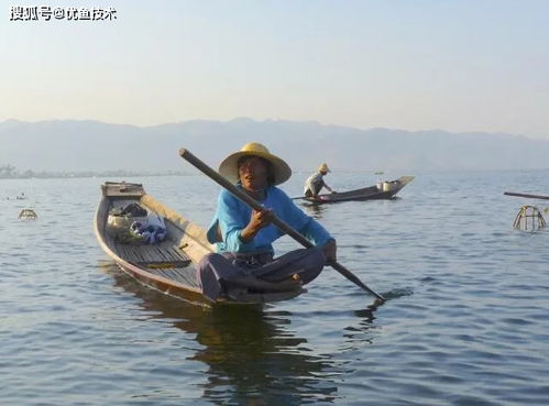 优鱼技术水质监测系统,让水产养殖更加科学