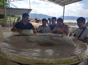 广西自治区水产技术推广总站率专家团队到梧州调研水产养殖绿色发展情况