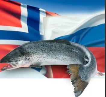 俄罗斯水产养殖业希望获得挪威的投资