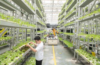 养鱼不换水 种菜不施肥