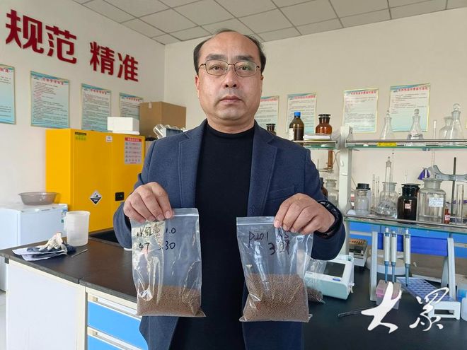 新型饲料实现豆粕减量,每只鸡养殖成本可降低0.5元