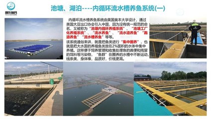 工厂化循环水养鱼-智慧农研(推荐商家)-工厂化养鱼