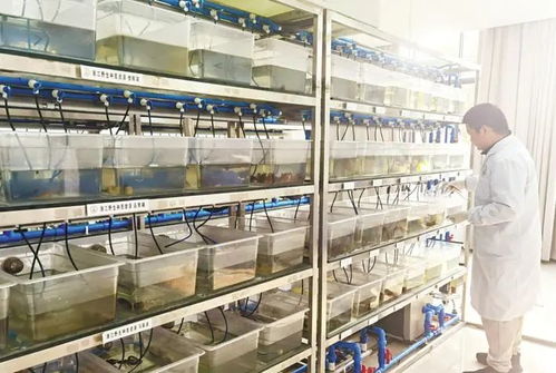 潜江龙虾 为湖北农产品走向全国 迈向世界扛旗打样