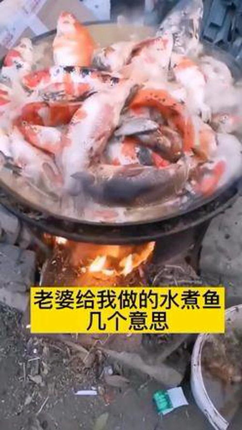 钓鱼 鱼 农村 农村生活 水产养殖技术 捕鱼