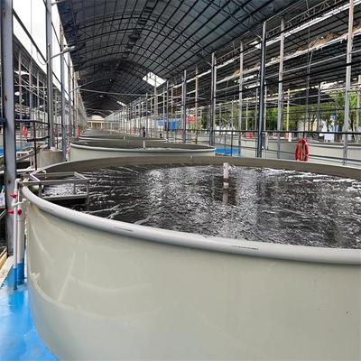 环控-高密度生态水产养殖项目-智慧工厂化海水养殖-高单产