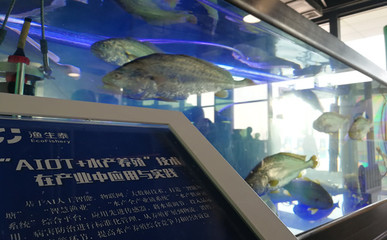 农创客“论剑”余杭 获胜者将获百万资助