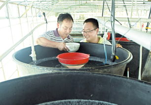 小鱼苗 大产业