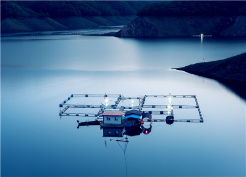 水产养殖项目 指导技术 土流网