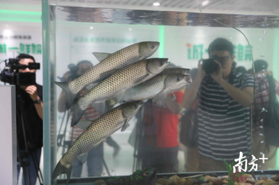 从南沙科学城到生命科学城,科创高地为何如此重视农业?