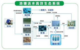 活水高效生态养殖体系 引领生态水产养殖崛起和渔业消费升级