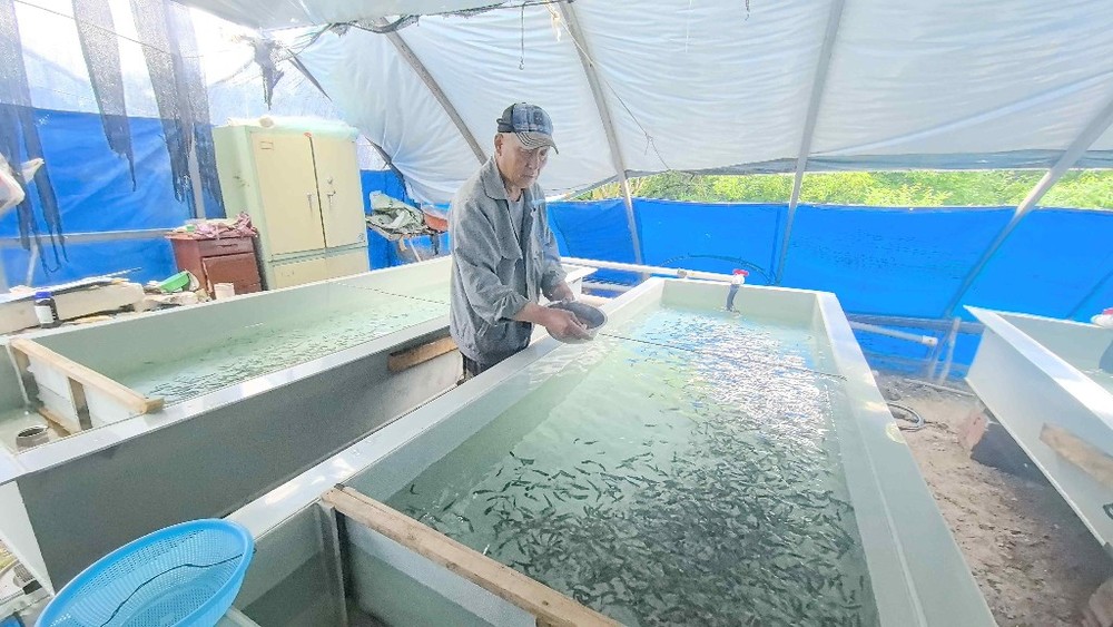 牡丹江冷水鱼产业:全链条发展的振兴之路