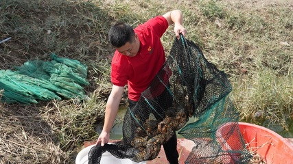 内陆海鲜的奇迹 一师阿拉尔市水产养殖技术创新引领市场热潮