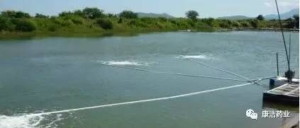 水产养殖水底溶氧作用与底层增氧技术研究