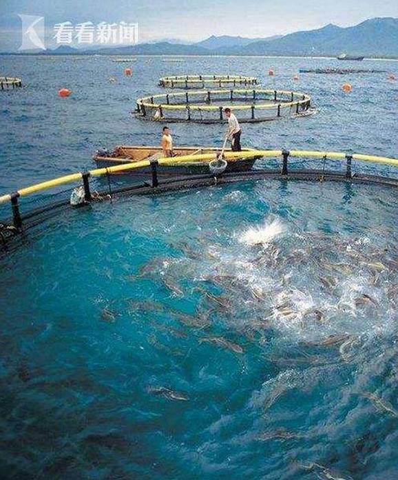 上海水产科学研究院研发深远海养殖工船与农家乐休闲观光服务的融合探索