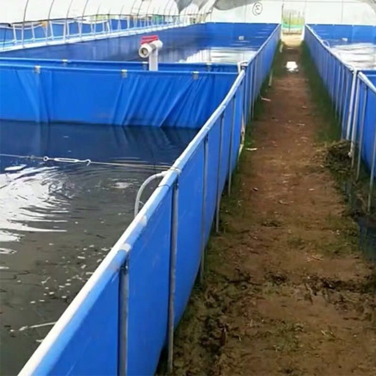 水产养殖帆布池 定制化解决方案助力高效养鱼虾与水蛭