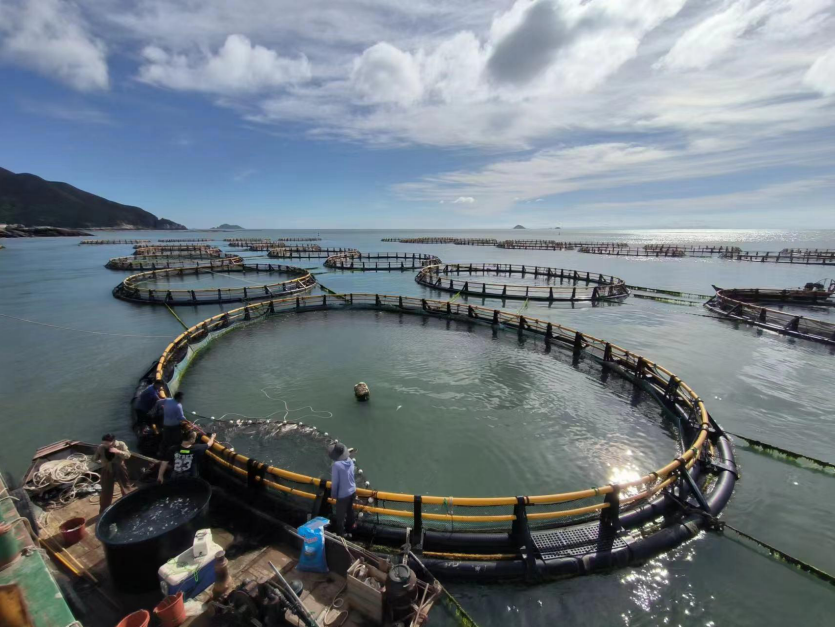 全省示范！温州3家农家乐休闲观光服务获殊荣