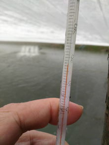 珠海农发中心深入基层，科学开展水产养殖防寒减灾工作