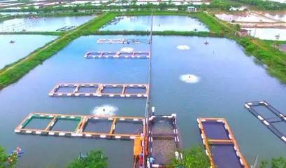 喜讯！斗门8家企业荣登省级水产养殖榜单，实力彰显产业新高度