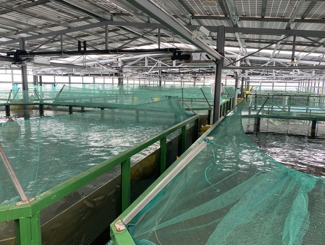 浙江首批“未来农场”公布 十大休闲观光新地标，体验未来农业新魅力