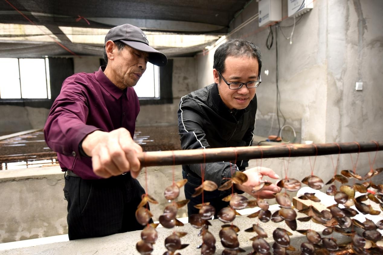 温州洞头 巡视整改出成效，海岛渔业大“聚变”