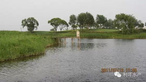 双轮驱动 提升水产养殖技术与农家乐休闲观光服务质量的综合策略